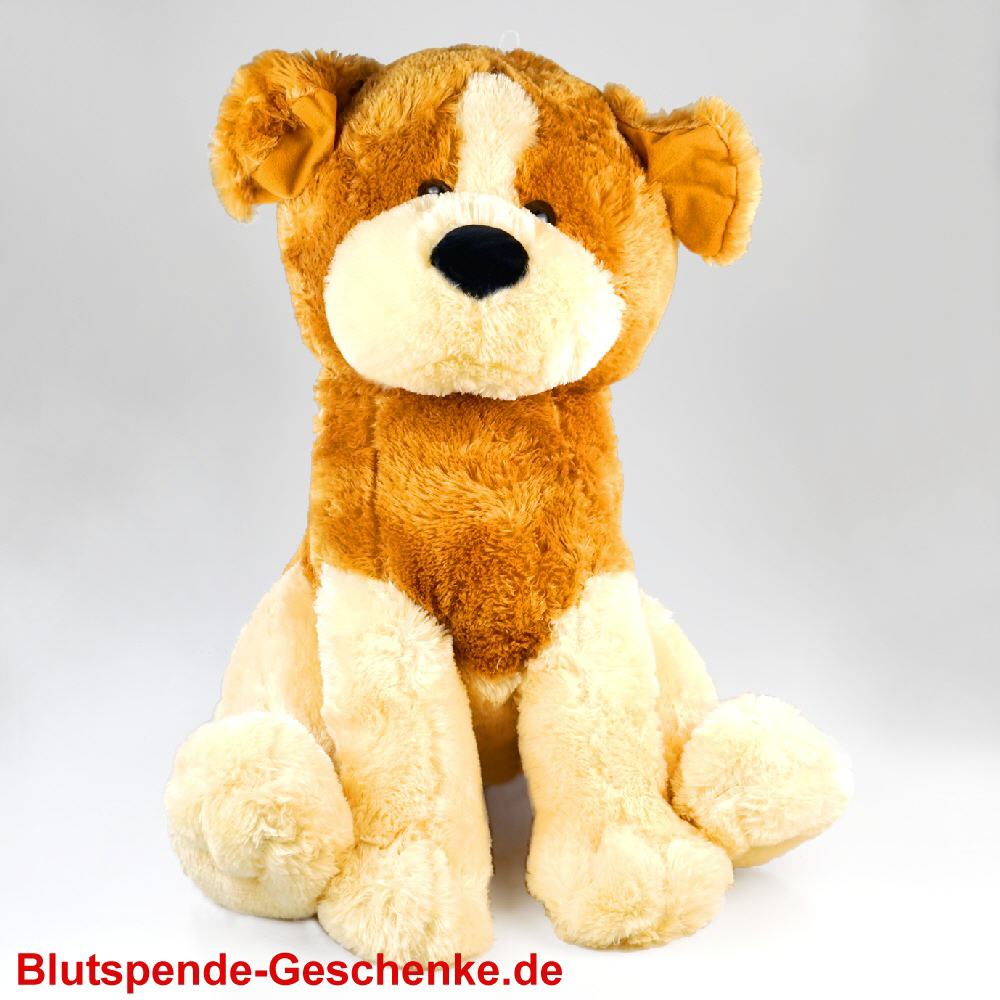 Blutspendegeschenk Plüschhund sitzend 60 cm