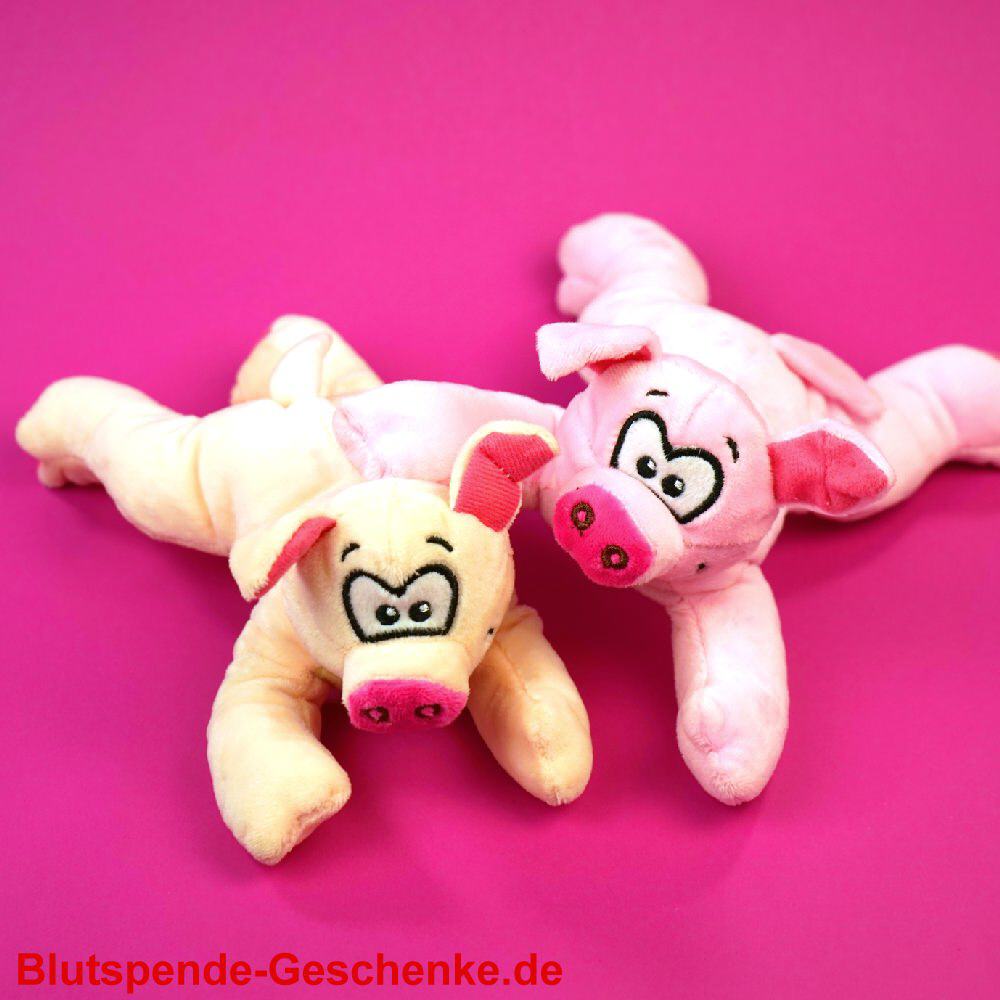 Blutspendegeschenk Schweinchen aus Plüsch