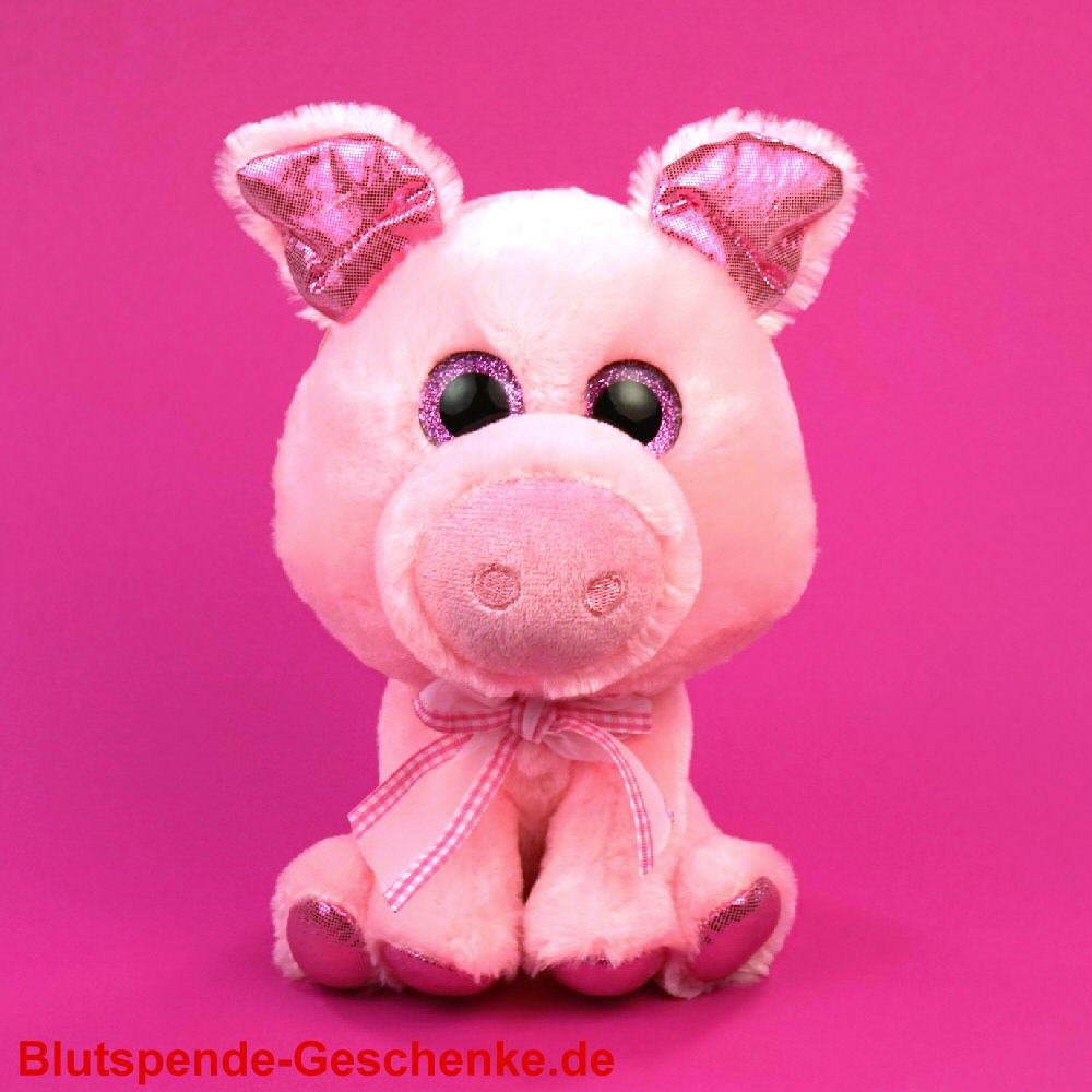 Blutspendegeschenk Glücksschwein aus Plüsch