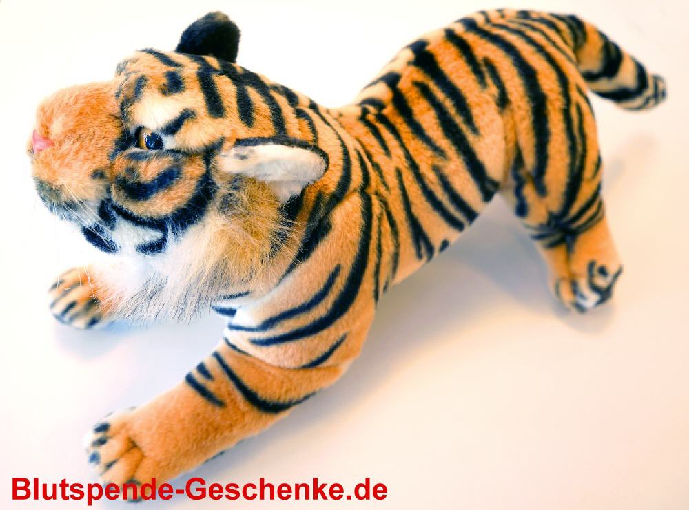 Blutspendegeschenk Plüschtiger 40 cm