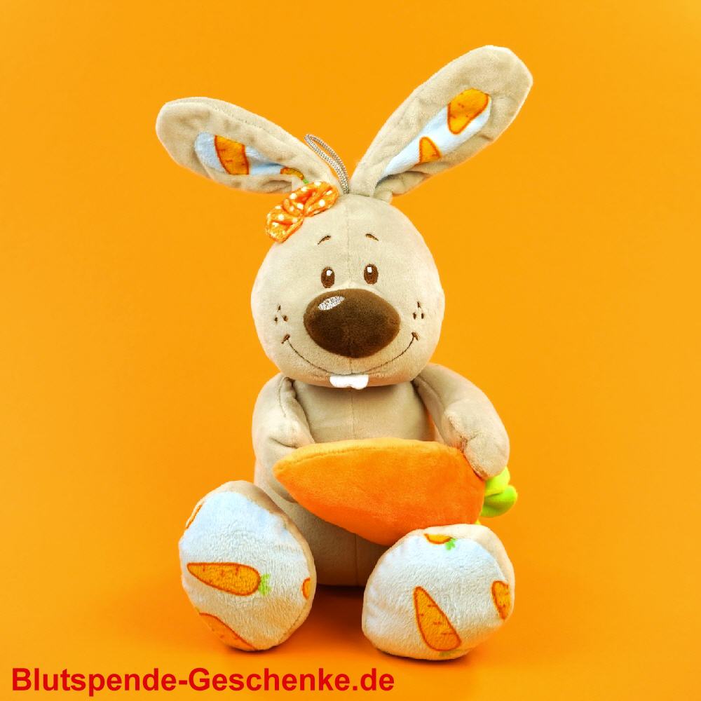 Blutspendegeschenk Hase Mit Karotte Aus Plusch