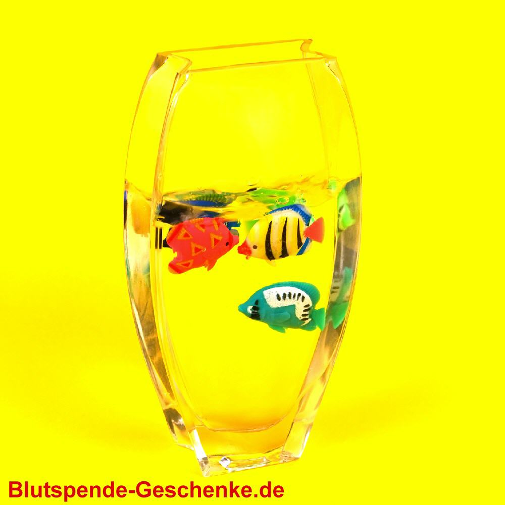 Blutspendegeschenk Schwimm-Fische